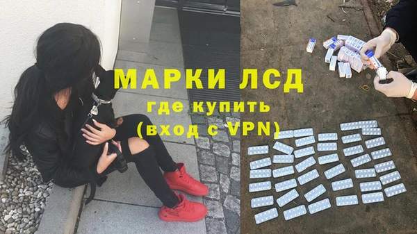 ALPHA PVP Гусев