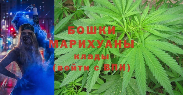 2c-b Горнозаводск