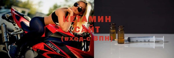 гидра Горняк