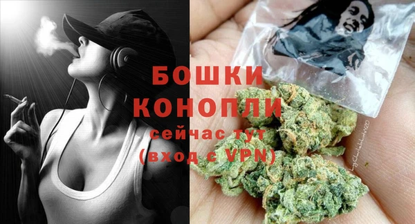 ALPHA PVP Гусев