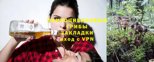 2c-b Вяземский