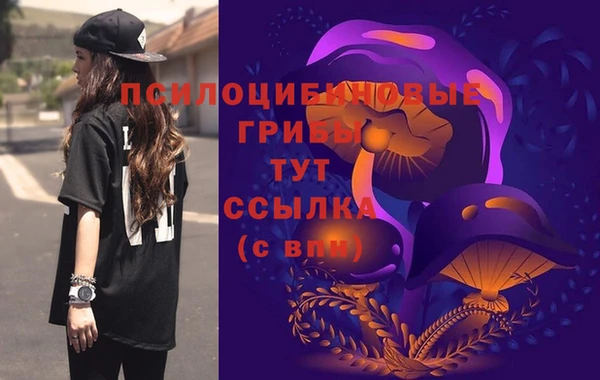 прущая мука Вязьма