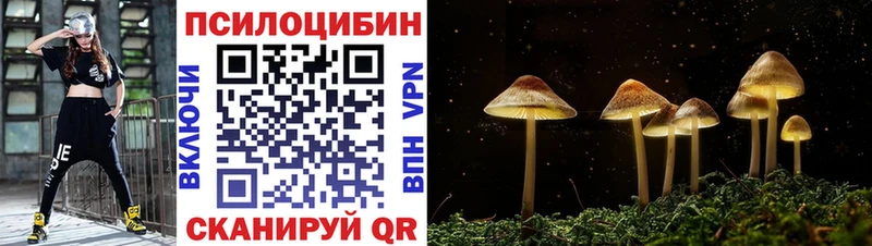 kraken ССЫЛКА  Зеленоградск  Галлюциногенные грибы прущие грибы 